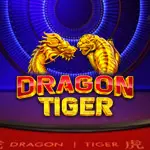 dragon tiger live pragmatic